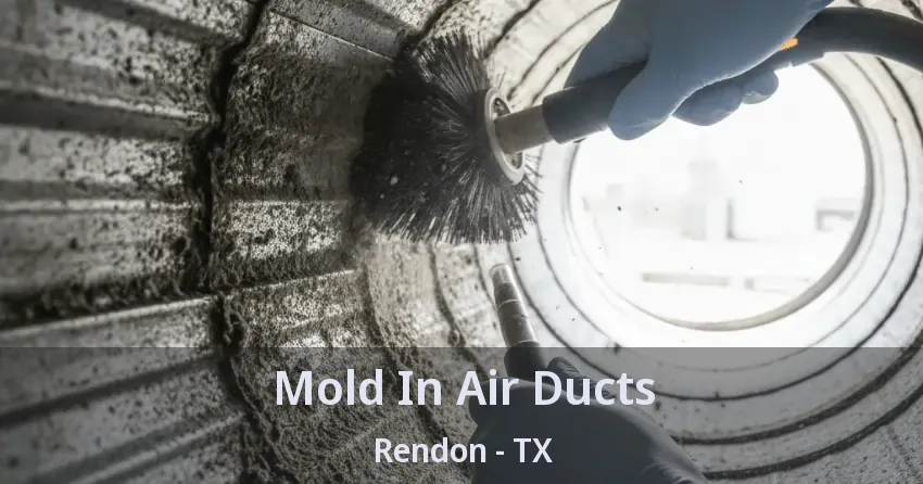 Mold In Air Ducts Rendon - TX