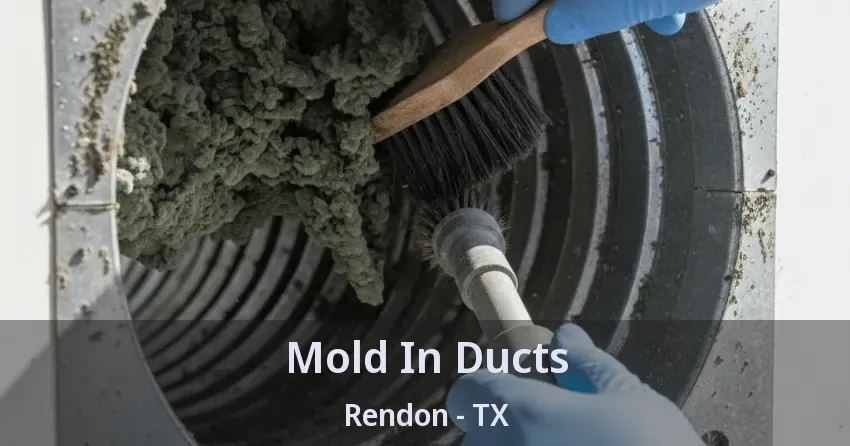 Mold In Ducts Rendon - TX