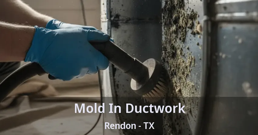 Mold In Ductwork Rendon - TX