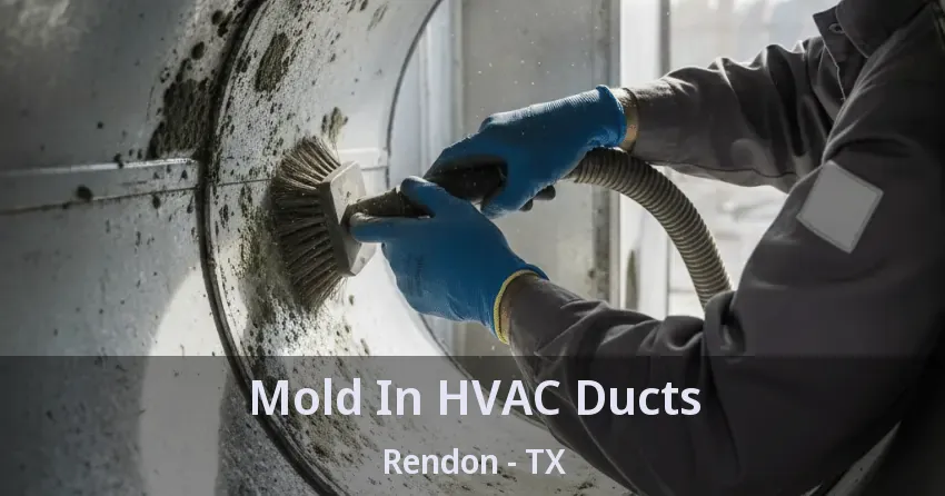Mold In HVAC Ducts Rendon - TX