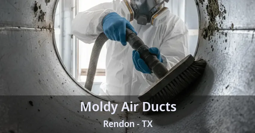 Moldy Air Ducts Rendon - TX Moldy Air Ducts Rendon - TX